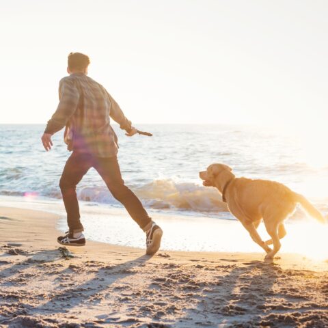 Man running with his dog along a beach at sunset.