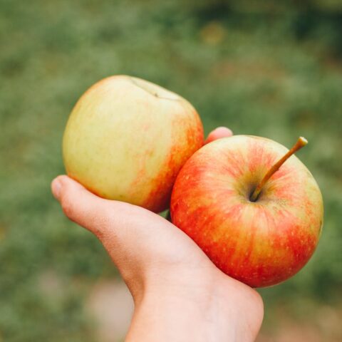 person holding two apple in their hand